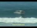 Kainoa Beaupre SUP Clip 02