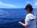 This Snapper is a keeper