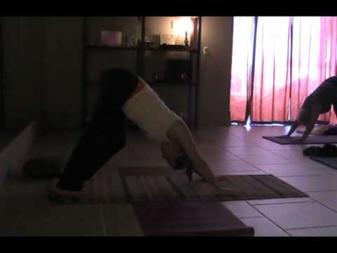 Daytona Yoga Gentle Yoga Class: Downward Facing Dog