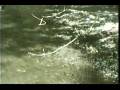 Surf Smelt Spawning Video.wmv
