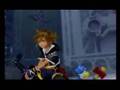 kingdomhearts OrganizationXIII,Sora,and Roxas