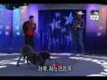 Amazing Dog Tricks