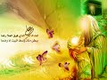 معذور قلبي - السيد محمد الموسوي