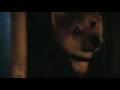 Hachiko A Dog Story Movie http://teaser-trailer.com