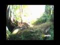 Vancouver Island: Darcy Turenne