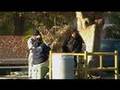 SoCal Immigration: Law, Labor, Liberty [FOX News Channel College Challenge '08]
