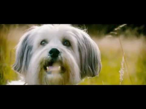 酷狗來找喳 PUDSEY: THE MOVIE 電影預告