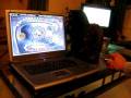 videos de gambling cat