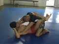 Treino Carlson Gracie Submission Prof Manimal