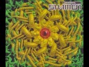 The Shamen - Transamazonia (LTJ Bukem Remix)