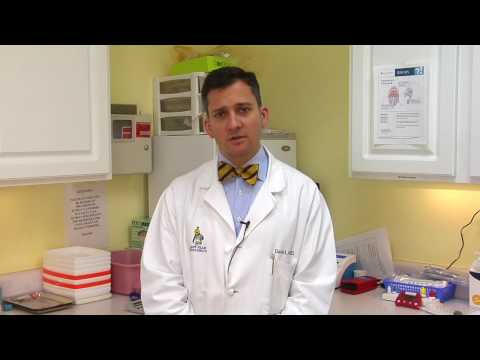 What Parts of the Brain Does Autism Affect?