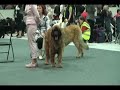 Helsinki Aptus Show2