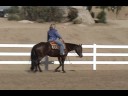 Faithful Dimension 2005 bay AQHA mare for sale Faithful Dimension 2005 bay AQHA mare for sale