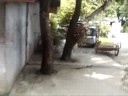 vdeo3