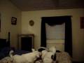 videos de Playtime part 2