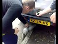 Kapotte dempert 2 Kapotte dempert 2