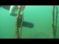 Freedive Palooza  part 1  Road to Palooza