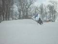 videos de Tanner Crashing.