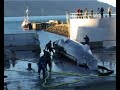 Whaling in Iceland - Part 2