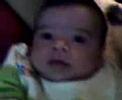 Pedrinhooooo Lagrutta