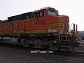 Southen Pacific Daylight #4449 Homecoming