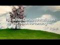 MAGIX Video und Fotoshow Urlaubspaket (Soundpool)