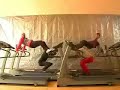 OK Go - Here It Goes again chipmunk style OK Go - Here It Goes again chipmunk style