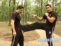 Essentials of Krav Maga Self Defense Techniques : Vertical Front Kicks in Krav Maga Essentials of Krav Maga Self Defense Techniques : Vertical Front Kicks in Krav Maga