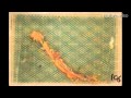 Rotten research: by Nature Video