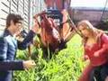 Doctor who Toy adventures video
