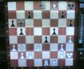 kasparov vs batsheva kasparov vs batsheva