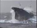 Pesca del palangre Pesca del palangre