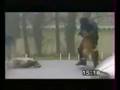 Fearless Police Dog