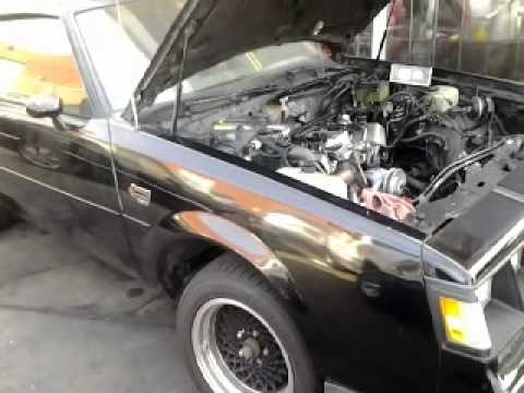 grand national results