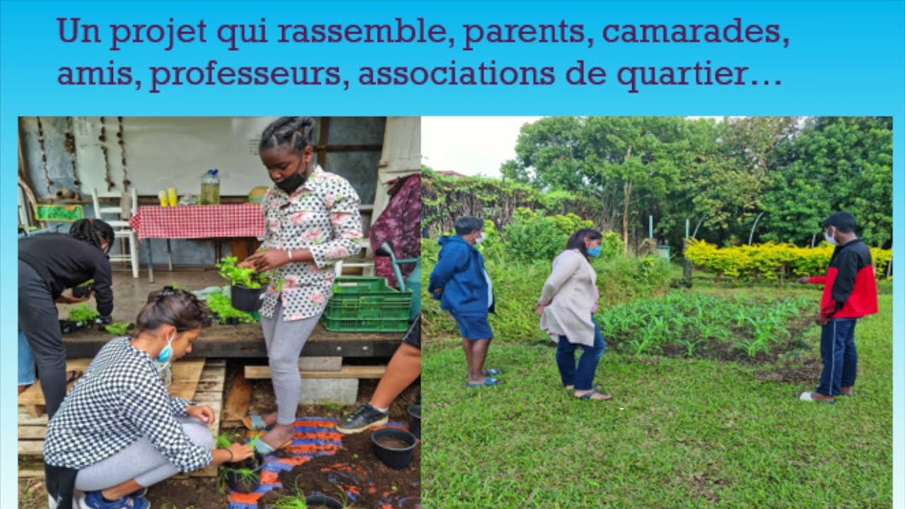 Interview des élèves du Collège Terrain Fayard (Ac La Réunion)