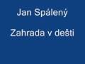 Zahrada v dešti