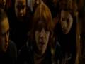 fleur delacour, ron weasley y hermione granger-australia