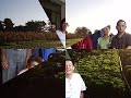 HOMENAGEM SR. HISATO MIKI