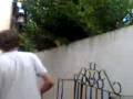 videos de Venganza contra el gato !