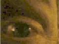 videos de Eyeballed
