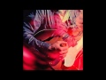 Chromatics - Birds of Paradise (Hype-Hope Remix)