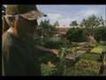 simple living - (VIDEO PROPERTY OF ABC NEWS) The Dervaes Family have created the original modern urban homestead that has yielded an entirely new, revolutionary alternative ...