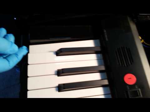 Suzuki Piano DG-10 Piano Key Repair