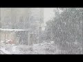 Jordan -Amman- Jubaiha Heavy Snow 2 --- ثلوج غزيرة منطقة الجبيهة 22-1-2012