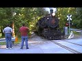 Wilmington & Western #98 In The Woods