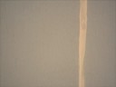 Robert Motherwell: Five great Opens Robert Motherwell: Five great Opens