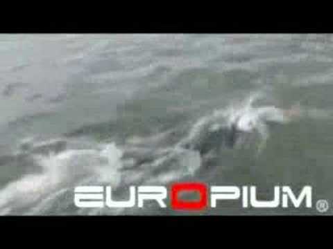 Belaubre - Test Europium Cht ...