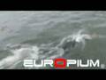 Belaubre - Test Europium Cht d'Europe 2008