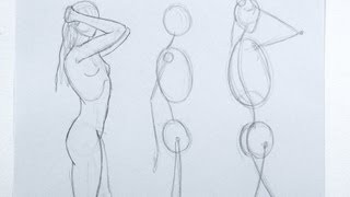 Figura Humana y Proporciones