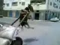 khare bichare iraq aragh